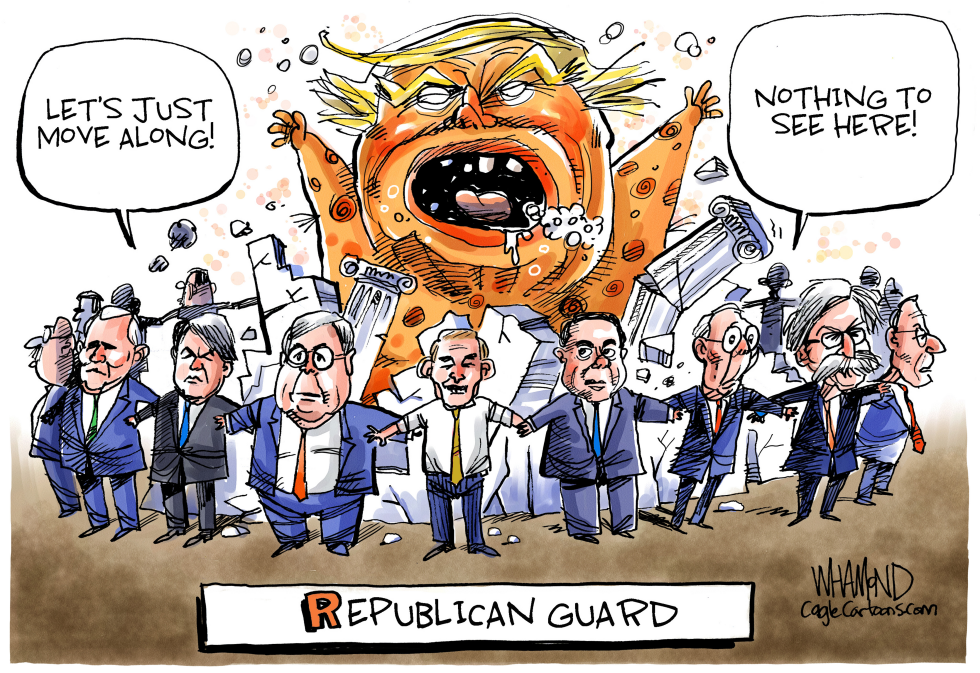  REPUBLICAN GUARD by Dave Whamond