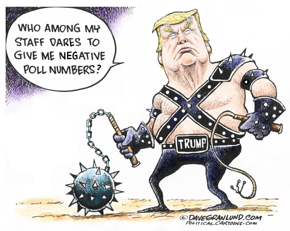  TRUMP AND NEGATIVE POLLS by Dave Granlund