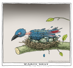 WARM NEST by Joep Bertrams