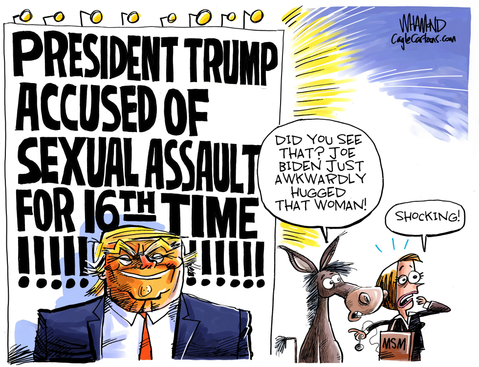  MORE TRUMP ACCUSATIONS by Dave Whamond