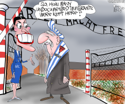 AOC AND AUSCHWITZ by Gary McCoy