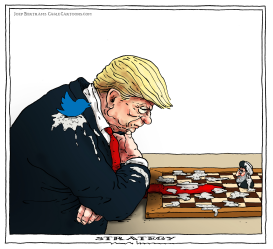 STRATEGY by Joep Bertrams