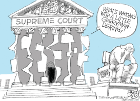 SUPREME GERRYMANDER by Pat Bagley