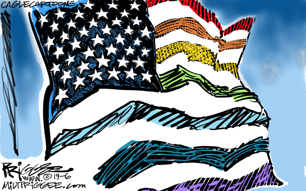  EQUALITY FLAG by Milt Priggee