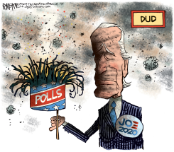 BIDEN DUD by Rick McKee