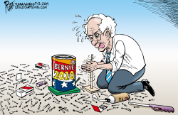 BERNIE SANDERS' FIREWORKS by Bruce Plante