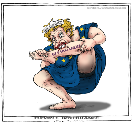 FLEXIBEL GOVERNANCE by Joep Bertrams