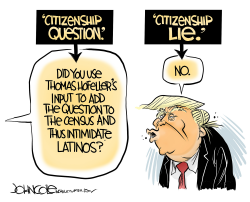 THE CITIZENSHIP LIE by John Cole