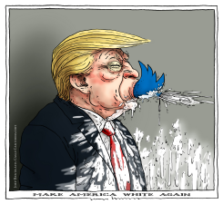 MAKE AMERICA WHITE AGAIN by Joep Bertrams