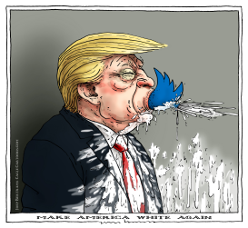 MAKE AMERICA WHITE AGAIN by Joep Bertrams