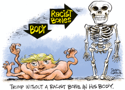 NO RACIST BONES IN TRUMP by Daryl Cagle