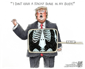 RACIST BONE by Adam Zyglis