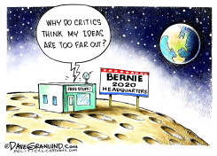 BERNIE SANDERS 2020 IDEAS by Dave Granlund