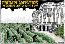 TRUMPLANTATION by Wolverton