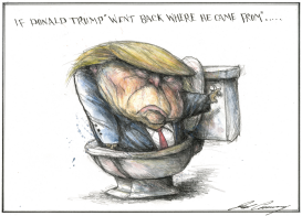 TRUMP IN THE TOILET by Dale Cummings