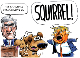 MUELLER DISTRACTION by Dave Whamond