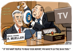 MUELLER REPORT BOOK TOUR by RJ Matson