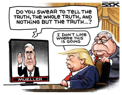 MUELLER TESTIMONY by Steve Sack