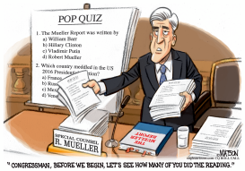 MUELLER REPORT POP QUIZ by RJ Matson