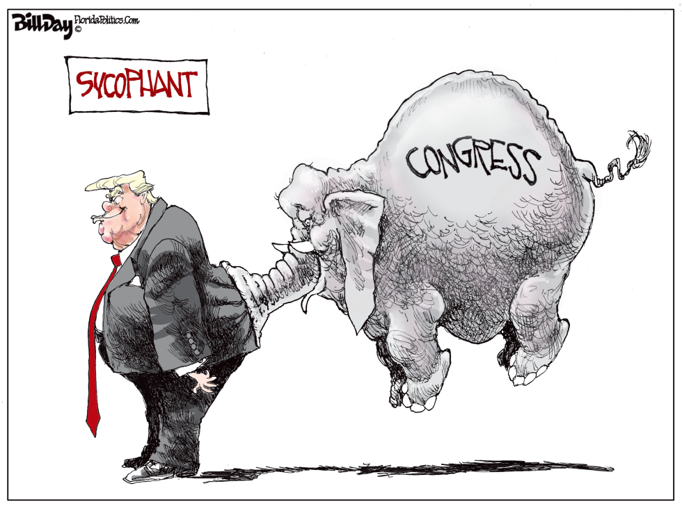  SYCOPHANT by Bill Day