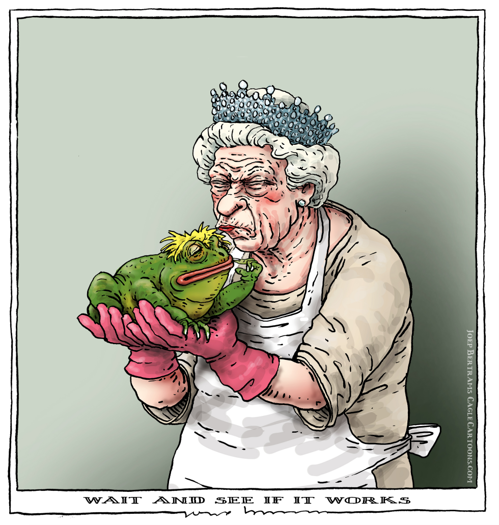  WAIT AND SEE IF IT WORKS by Joep Bertrams