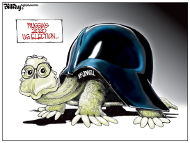 THE TURTLE by Bill Day