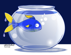 STRANGE FISH TANK by Arcadio Esquivel