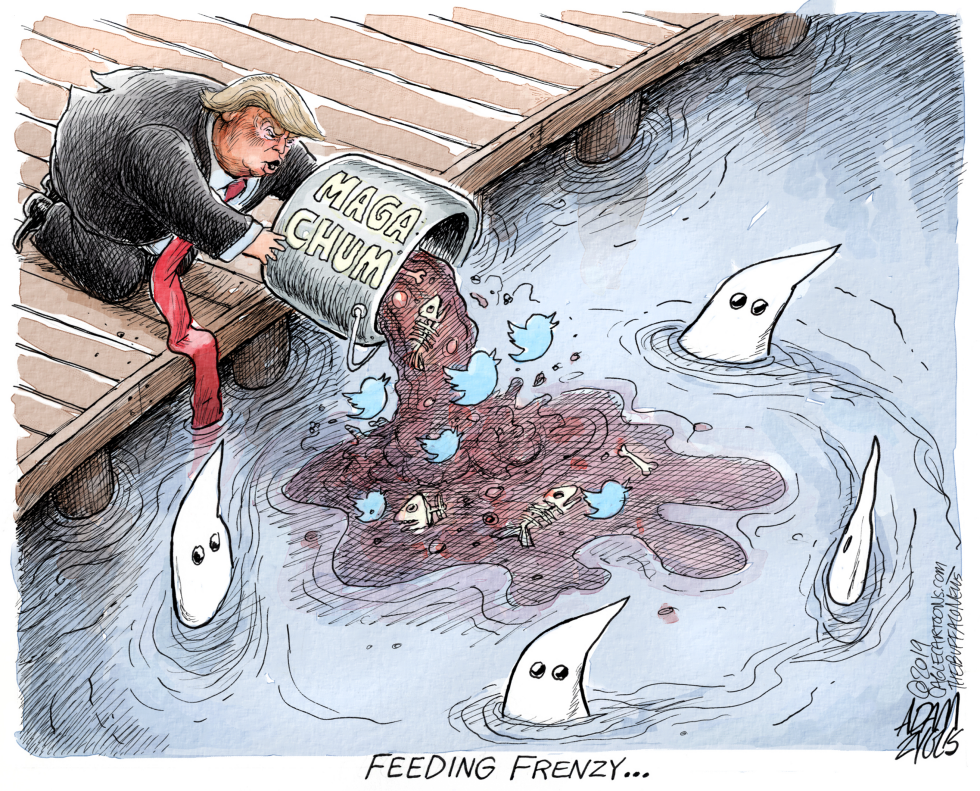  WHITE NATIONALISM by Adam Zyglis