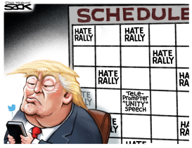 TRUMP RALLY by Steve Sack