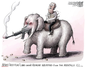 RED FLAG LAWS by Adam Zyglis