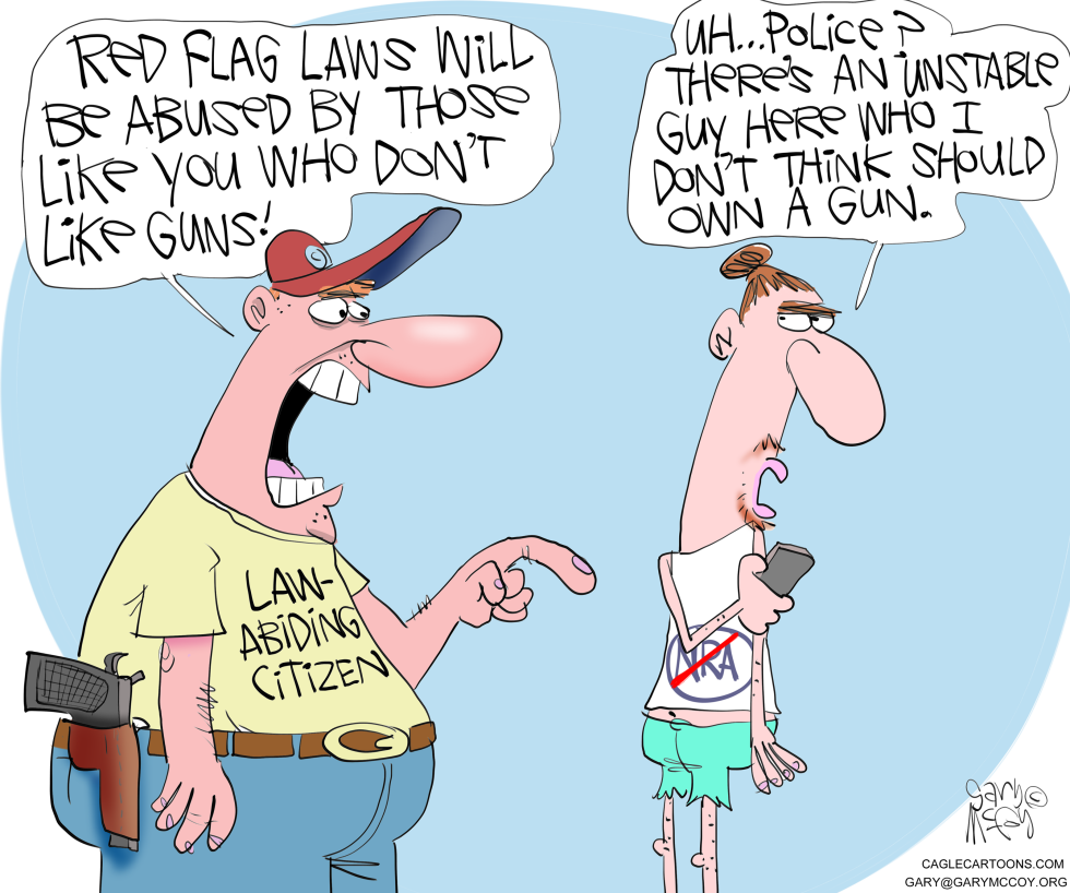  RED FLAG LAWLESSNESS by Gary McCoy