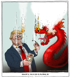 INFLAMMABLE by Joep Bertrams