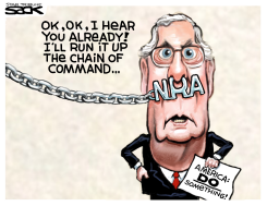 NRA MITCH by Steve Sack