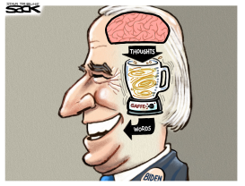 BIDEN GAFFES by Steve Sack