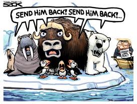 GREENLAND DEAL by Steve Sack