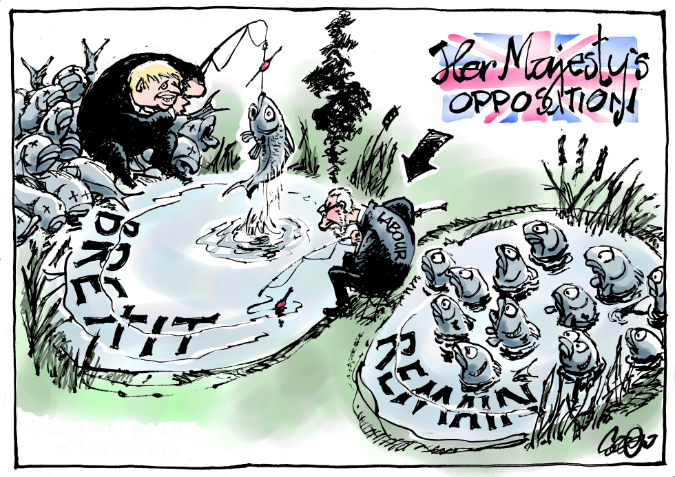  UK OPPOSITION NOT by Jos Collignon