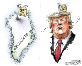 POLITICAL REAL ESTATE by Adam Zyglis