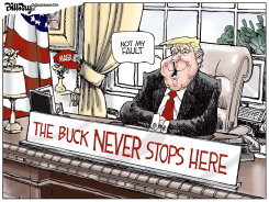 BUCK NEVER STOPS HERE by Bill Day