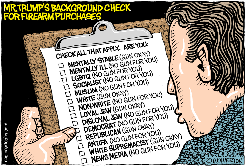  BACKGROUND CHECKS by Wolverton