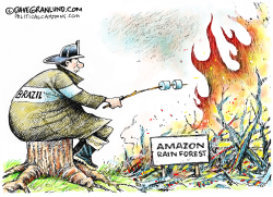 AMAZON RAIN FOREST FIRE by Dave Granlund