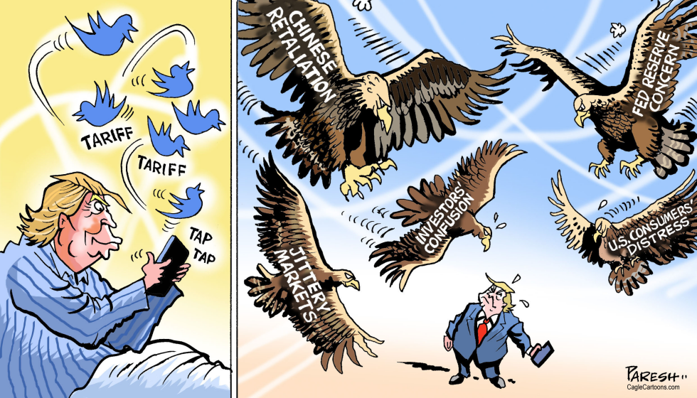  TRUMP TARIFF EFFECTS by Paresh Nath