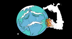 AMAZON FIRES by Emad Hajjaj