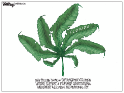 FLORIDA MARIJUANA AMENDMENT by Bill Day