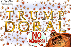 DORAL BEDBUGS by Ed Wexler