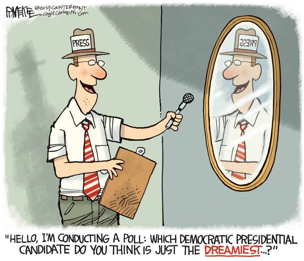  MEDIA FOR DEMS by Rick McKee