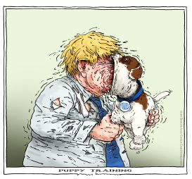 PUPPY TRAINING by Joep Bertrams