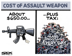 GUN COST by Steve Sack