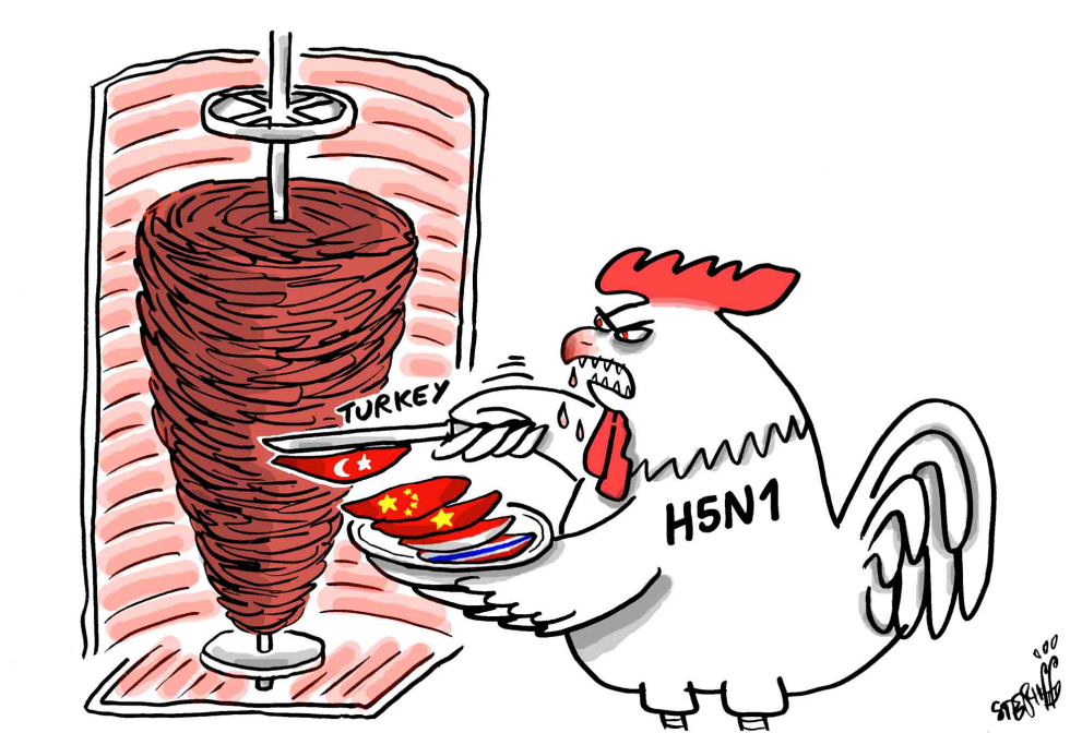  BIRD FLU IN TURKEY by Stephane Peray