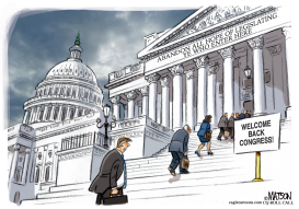 WELCOME BACK CONGRESS by RJ Matson