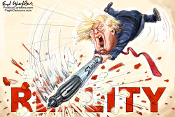 TRUMP SHARPIE REALITY by Ed Wexler